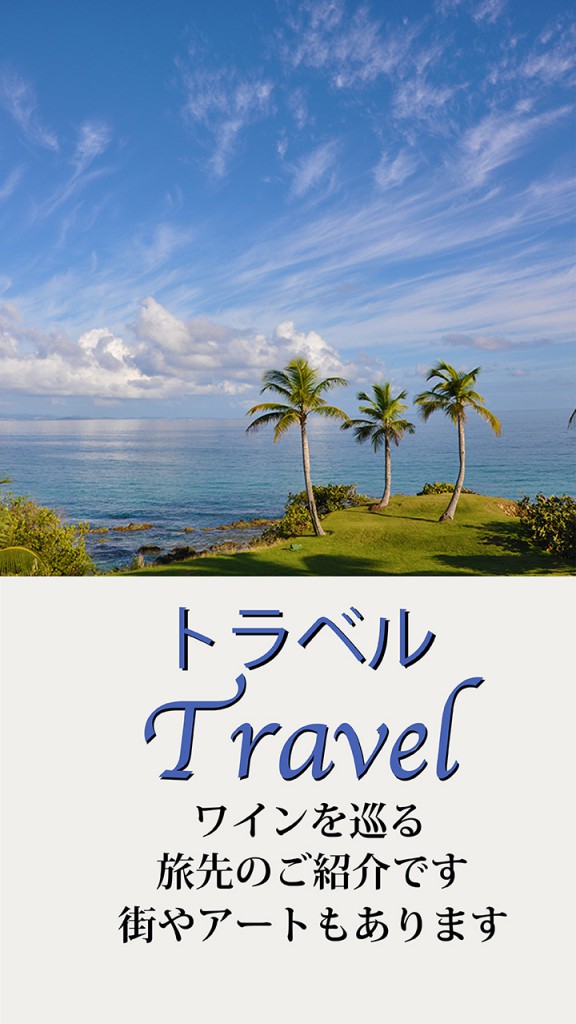travel-cover-2